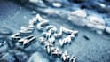 create cinematic winter logo intro HD