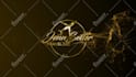 do luxury gold logo reveal animation