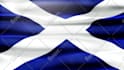 do an animated flag video using your words, images or logo