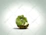 make this funny turtle dance and get CRAZY and show your logo or text