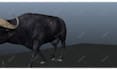 create 3d animation for maya,unreal,unity and blender