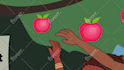 animate quality cartoon character, create 2d animated videos