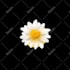animate your photos, artworks, your logo