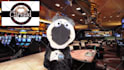 have paulie the penguin crooner create a custom puppet video