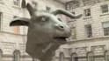 do cash cow video editing for you