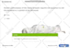 create trivia, quizzes, 14 types quiz questions any subject