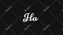 do the best custom logo animation for you