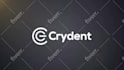 create motion graphic logo animation