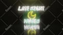 create professional neon sign intro logo animation video in 12hrs