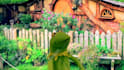 record a video message as kermit the frog