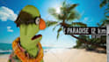 have harold the puppet make a video about anything