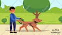 create a 2d whiteboard animations explainer video