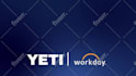 edit after effects and videohive projects in 24 hours
