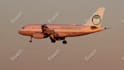 add your logo onto a plane video