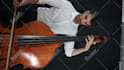 record double bass for you, with guarantee