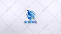 do epic and elegant looking 2d and 3d logo animation