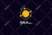create stunning logo animation or intro