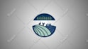 create a unique custom logo animation