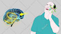 create vector line art video animation or ad videos