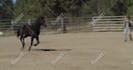 enhance your video with cleanups, retouching, and cinematic color grading