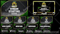 design animated custom twitch overlays,logo for your stream