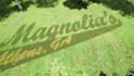do cinematic eco friendly nature 3d rendering animation intro video from logo