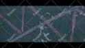 do trading intro video for forex, crypto, stock