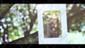 do wedding birthday anniversary valentine video slideshow