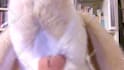 sing happy birthday with my rabbit puppet
