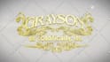 create 3d custom intro logo animation