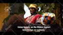 create promotional explainer commercial short video ad