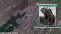 make a map zoom or satellite zoom animation
