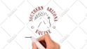create colorful whiteboard animation to boost sales
