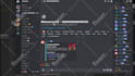 program a discord bot for you