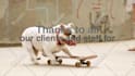 customize this video to promote your pet business