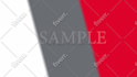 create a brand explainer video or commercial video ads for your business