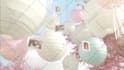 do anything in adobe after effects