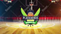 make your logo come to life with this basketball intro video