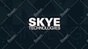 do custom animated twitch and esports overlays, logo, panels, alerts