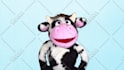 have moorice the cow create a custom puppet video