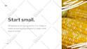 design an investor pitch deck in powerpoint and keynote