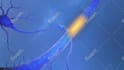 do high quality 3d medical animation and illustration