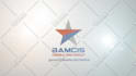 make a logo intro video for business promotion
