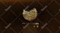 create silver or gold logo liquid animation intro and outro youtube