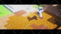 make a minecraft server trailer for you