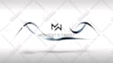 create 20 amazing animated logo intro video 24hrs