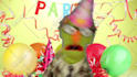 have harold the puppet make a custom birthday video