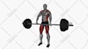 do 3d animated gym exercises and yoga poses