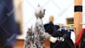 create a professional claymation stop motion animation video