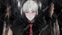 rig high quality vtuber model, facerig, live2d rigging for 2d avatar